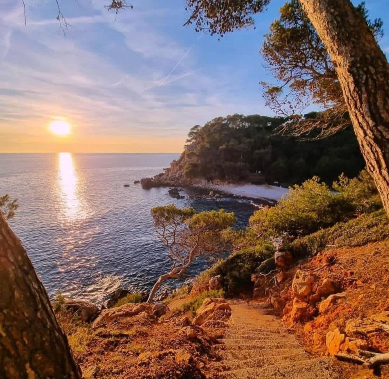 Logement Vue Mer Splendide - Situe A 50 Metres Du Bord De Mer Et 2 Minutes Des Plages - Bandolina Экстерьер фото